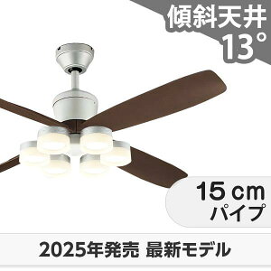  ۏ FLED [R15]y LED 6 邳8 DC[^[ 啗  XΓV I[fbN V[Ot@ Cg OCB-446