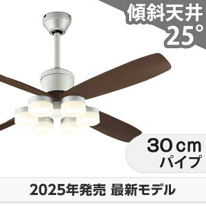  ۏ FLED [R15]y LED 6 邳8 DC[^[ 啗  XΓV I[fbN V[Ot@ Cg OCB-448