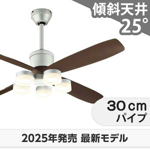  ۏ FLED [R15]y LED 5 DC[^[ 啗  XΓV I[fbN V[Ot@ Cg OCB-449