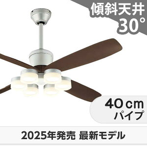  ۏ FLED [R15]y LED 6 邳8 DC[^[ 啗  XΓV I[fbN V[Ot@ Cg OCB-462