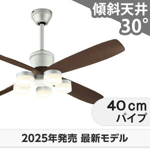  ۏ FLED [R15]y LED 5 DC[^[ 啗  XΓV I[fbN V[Ot@ Cg OCB-463