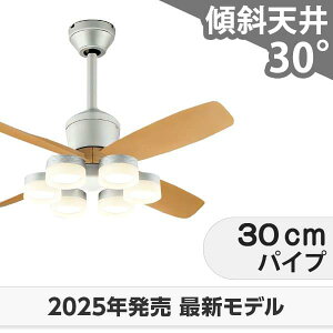 ۏ FLED [R15]y LED 6 邳8 DC[^[ 啗  XΓV I[fbN V[Ot@ Cg OCB-466