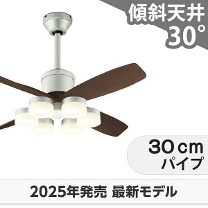 ۏ FLED [R15]y LED 6 邳8 DC[^[ 啗  XΓV I[fbN V[Ot@ Cg OCB-480