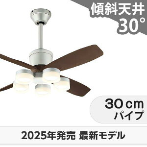 ۏ FLED [R15]y LED 5 DC[^[ 啗  XΓV I[fbN V[Ot@ Cg OCB-481