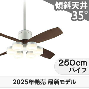 ۏ FLED [R15]LED 6 邳8 DC[^[ 啗  XΓV I[fbN V[Ot@ Cg OCB-490