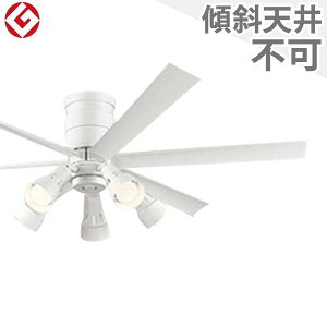  ۏ FLED [R15] y LED 5 EFؑ DC[^[ 啗 I[fbN zCg V[Ot@ Cg OLB-034