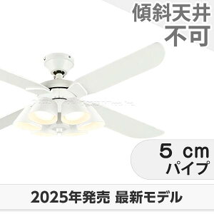 ۏ FLED [R15] y LED 6 邳8 I[fbN zCg V[Ot@ Cg ODB-542