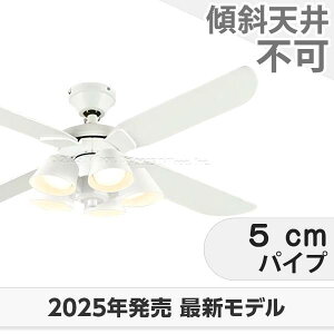 ۏ FLED [R15] y LED 5 I[fbN zCg V[Ot@ Cg ODB-543