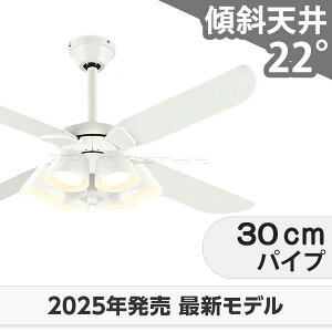 ۏ FLED [R15] y LED 6 邳8  XΓV I[fbN zCg V[Ot@ Cg ODB-546