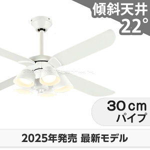 ۏ FLED [R15] y LED 5  XΓV I[fbN zCg V[Ot@ Cg ODB-547