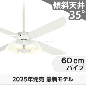 ۏ FLED [R15] y LED 6 邳8  XΓV I[fbN zCg V[Ot@ Cg ODB-548