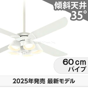 ۏ FLED [R15] y LED 5  XΓV I[fbN zCg V[Ot@ Cg ODB-549