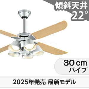 ۏ FLED [R15] y LED 5  XΓV I[fbN V[Ot@ Cg ODB-557