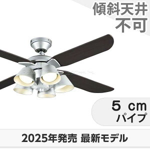 ۏ FLED [R15] y LED 5 I[fbN V[Ot@ Cg ODB-563