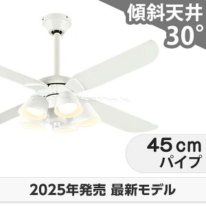 ۏ FLED [R15] y LED 5  XΓV I[fbN zCg V[Ot@ Cg ODB-576