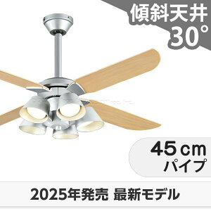 ۏ FLED [R15] y LED 5  XΓV I[fbN V[Ot@ Cg ODB-578