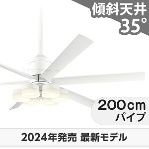 ySi3Nۏ؁z V[Ot@ V[Ot@Cg OLB248 Ɩ t@ LED DC Y VƖ Ɩ 1-2K(5mȏ) X V GAR Rt CeAEƋE[ 