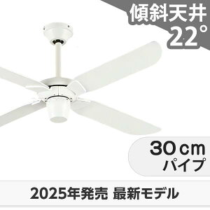 ۏ  XΓV I[fbN zCg V[Ot@ ODC-531