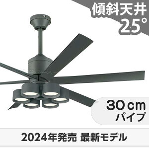  ۏ FLED [R15] y LED 6 邢10 EFؑ DC[^[ 啗 XΓV I[fbN V[Ot@ Cg OLB-313