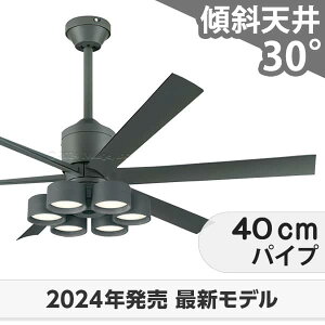  ۏ FLED [R15] y LED 6 邢10 EFؑ DC[^[ 啗 XΓV I[fbN V[Ot@ Cg OLB-325