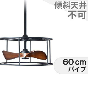 【全品3年保証】 シーリングファン RAC019 照明無し ファン DC 吹き抜け/傾斜・勾配天井(ロフト付) 天井 エアコン リモコン付き インテリア・家具・収納 アンティーク調 おしゃれ おすすめ ブ