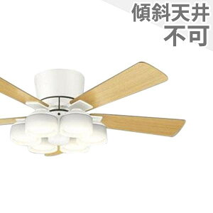 ySi3Nۏ؁z V[Ot@ V[Ot@Cg OFE025 Ɩ t@ LED AC Y VƖ Ɩ ʓV V GAR Rt CeAEƋE[ CgEƖ