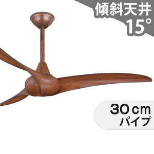 ySi3Nۏ؁z V[Ot@ IMAC021 Ɩ t@ AC ^X΁EzV(tgt) X V GAR Rt CeAEƋE[ _   RA 