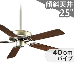 ySi3Nۏ؁z V[Ot@ DEC064 Ɩ t@ AC ^X΁EzV(tgt) X V GAR Rt CeAEƋE[ AeB[N  