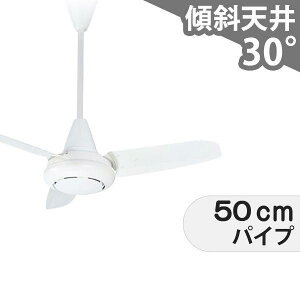 【全品3年保証】 シーリングファン EAC011 照明無し ファン AC 吹き抜け/傾斜・勾配天井(ロフト付) 傾斜 天井 エアコン インテリア・家具・収納 モダン おしゃれ おすすめ ホワイト AC モータ