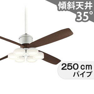 ySi3Nۏ؁z V[Ot@ V[Ot@Cg OCB330 Ɩ t@ LED DC Y VƖ Ɩ 1-2K(5mȏ) X V GAR Rt CeAEƋE[ 