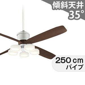 ySi3Nۏ؁z V[Ot@ V[Ot@Cg OCB331 Ɩ t@ LED DC Y VƖ Ɩ 1-2K(5mȏ) X V GAR Rt CeAEƋE[ 