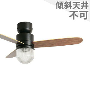 【全品3年保証】 シーリングファン シーリングファンライト WDE011 照明 ファン LED AC 天井照明 照明器具 普通天井 傾斜 天井 エアコン リモコン付き インテリア・家具・収納 ライト・照明器具