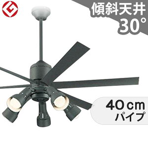 ySi3Nۏ؁z V[Ot@Cg OLB284 Ɩ t@ LED DC Y VƖ Ɩ ^X΁EzV(tgt) X V GAR Rt CeAEƋE[ 