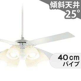 【全品3年保証】 シーリングファン シーリングファンライト DBB069 照明 ファン LED AC 天井照明 照明器具 吹き抜け／傾斜・勾配天井(ロフト付) 傾斜 天井 エアコン リモコン付き インテリア・家具・収納 ライト・照明器具 天井照明 モダン ホワイト AC モーター