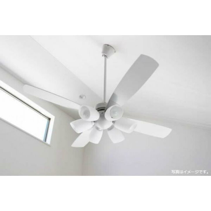 楽天市場】【全品3年保証】 シーリングファン シーリングファンライト 
