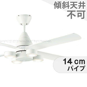 ySi3Nۏ؁z V[Ot@ V[Ot@Cg DKE006 Ɩ t@ LED DC VƖ Ɩ ʓV V GAR Rt CeAEƋE[ CgEƖ V