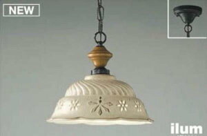 [ȈՎt 񒲌 dF] 1 (F͗l) | RCY~y_gCg