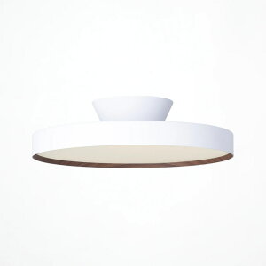 [�ȈՎ�t �z���C�g+���C�g�E�b�h 14�� �����E���F ���F��]Glow 6000 LED-ceiling lamp �A�[�g���[�N�X�^�W�I���V�[�����O�t�@��