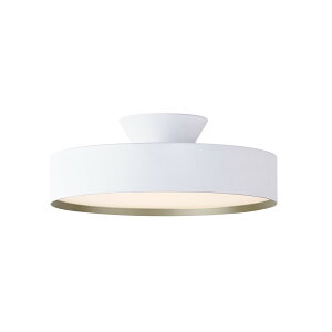 [�ȈՎ�t �z���C�g + �V�����p���S�[���h 8�� �����E���F ���F��]Glow 4000 LED-ceiling lamp �A�[�g���[�N�X�^�W�I�� �V�[�����O���C�g