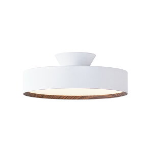[�ȈՎ�t �z���C�g+���C�g�E�b�h 8�� �����E���F ���F��] Glow 4000 LED-ceiling lamp �A�[�g���[�N�X�^�W�I�� �V�[�����O���C�g