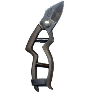 yzrV@^180mmiLL^j@ԏ|227121@202102