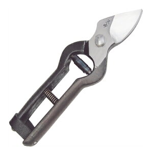 yzV@190mm@@ԏ|227132@202102