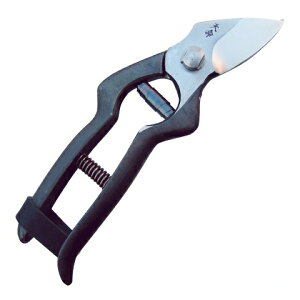 yzV@L^180mm@@ԏ|227133@202102