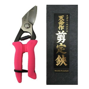 yzV@L^180mm@VRObv@@ԏ|227137@202102