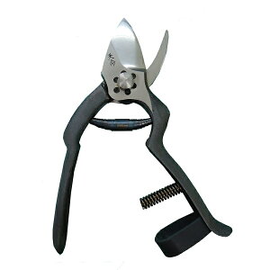 yzV@_Ìy^180mm@KV[Yipj@ԏ|227143@202102