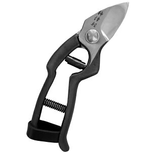 yz_Ìy7D@@ԏ|227161@202102