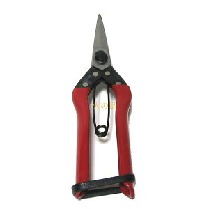 Eq@s^@VmMt@205mm@@241254@202011