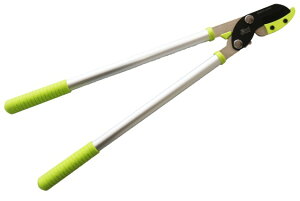 Oz@Zact }@ANG-650@AbvO[