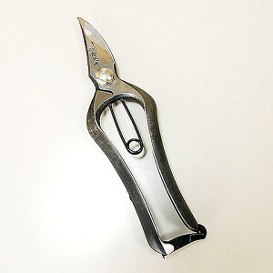 yz@ƏGv@\@~@190mm@T-19@5Zbg