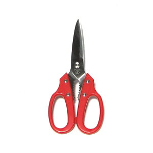 DAIICHI@{@J[nh@XeX@Lb`@[uiOj@ԁ@DSKK-195R@@202112